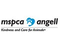 Angell Animal Medical Center, Boston - logo